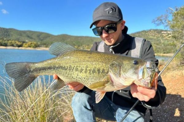 Il black bass alla fine dell'inverno