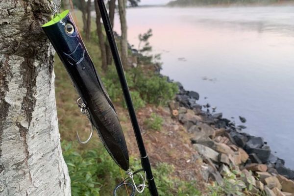 Maria Duck Dive F 230.