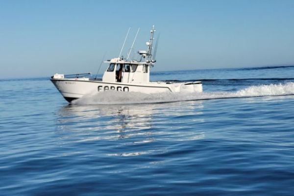 Fargo 31