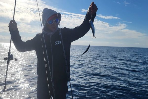 Pescare rapidamente il pesce vivo