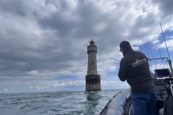 Quali sono i criteri di selezione di una canna multiuso?