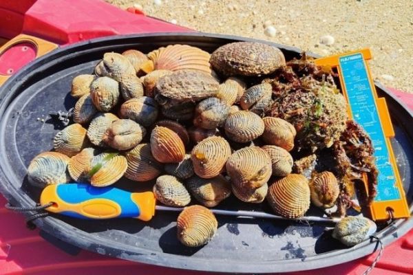 Il ritorno delle alte maree