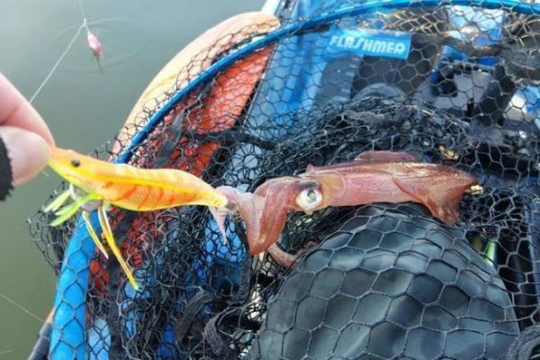 Pesca del calamaro in kayak