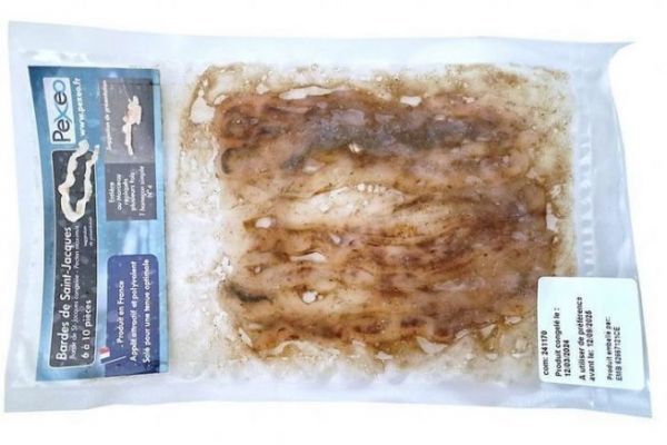 Bardo di capesante per la pesca