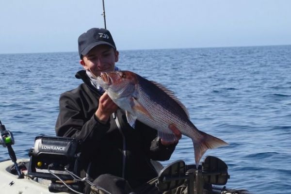 Esche per la pesca dei denti
