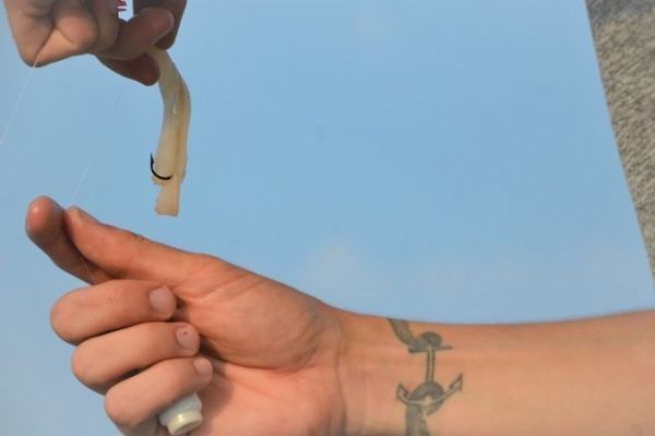 Pesca in mare d'inverno con la fregola del calamaro