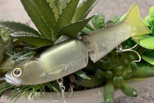 Il nuovo Slide Swimmer 115 � splendido!