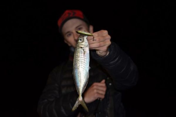 Pesca allo scorfano