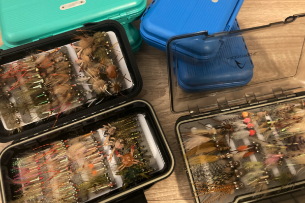 Saper scegliere la mosca giusta per ogni situazione � molto importante per la cattura dei bonefish