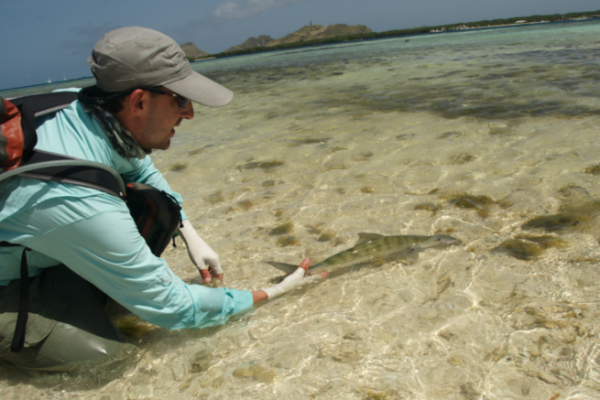 Los Roques per la pesca al bonefish