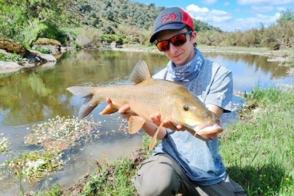 Pesca al barbo con esche artificiali