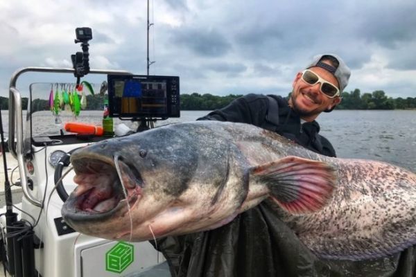 Sylvain Giraud, specialista della pesca al pesce gatto