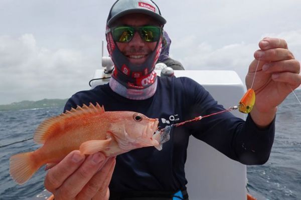 Una cernia conica ouatalibi catturata con una tenya in 25 m d'acqua