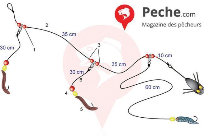 Gruppo a 3 pile su clipot per il merlano