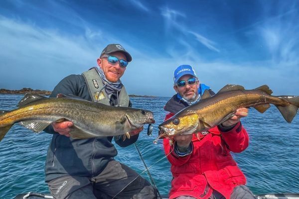 � possibile pescare il merluzzo giallo in zone poco profonde. Questo vi permetter� di praticare il no kill e il con